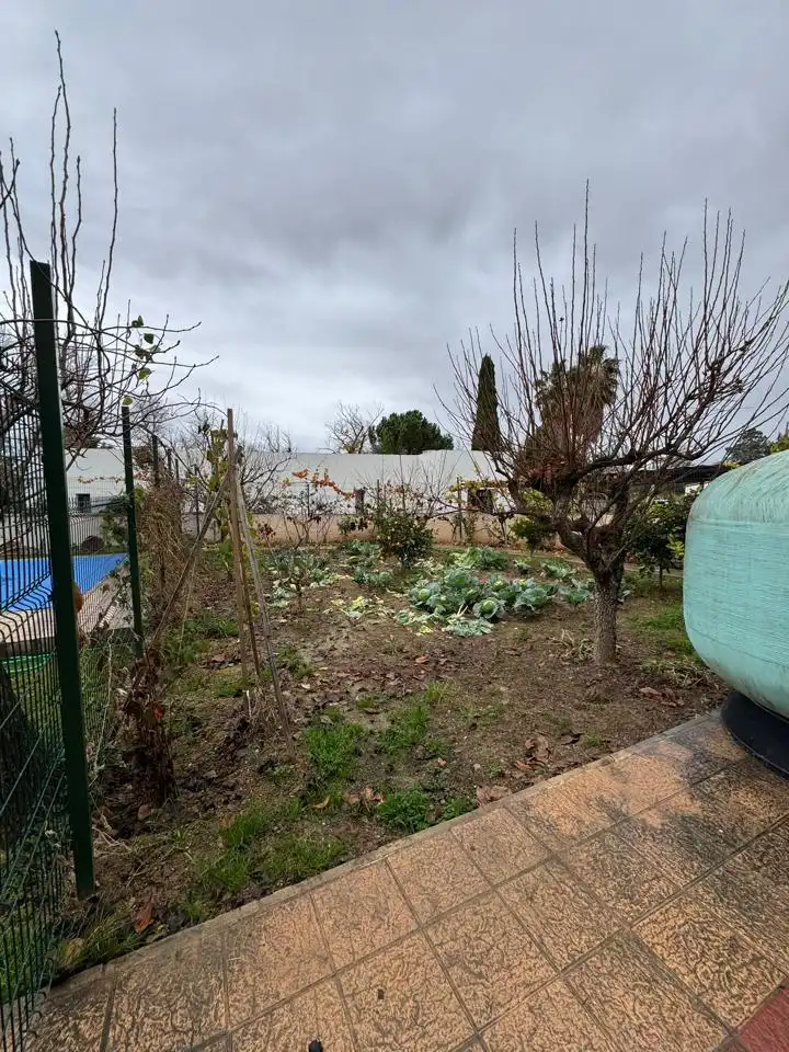 Jardí de Casa o xalet en venda en Cadrete amb Aire condicionat, Calefacció i Jardí privat