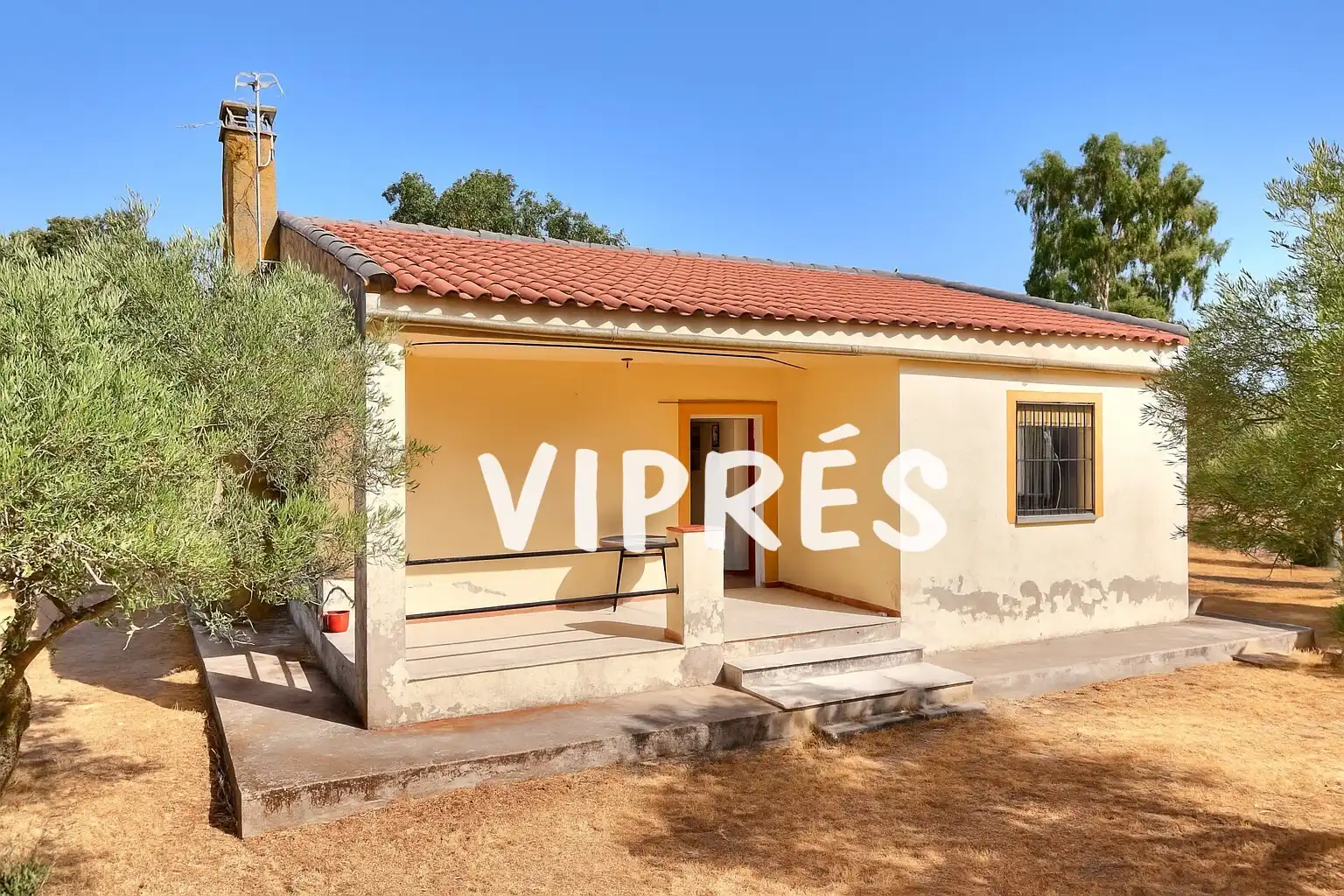 Vista exterior de Casa o chalet en venta en Arroyo de la Luz con Trastero
