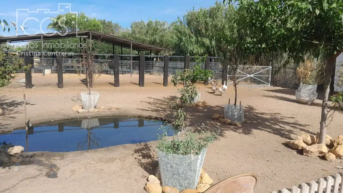 Casa rústica amb jardí en venda a Almonte ciudad, imagen 2