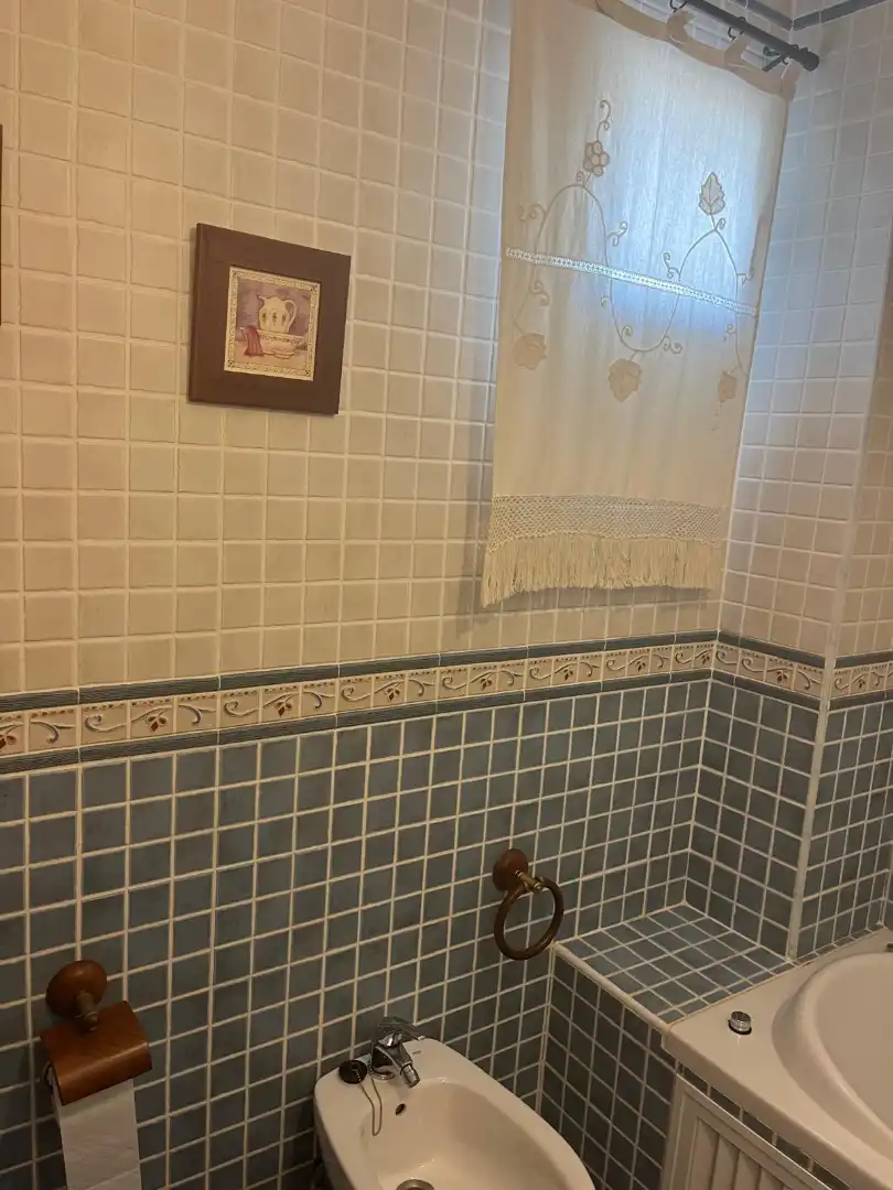Bathroom of Houses for rent in Comares  with Furnished, Washing machine and Pets allowed