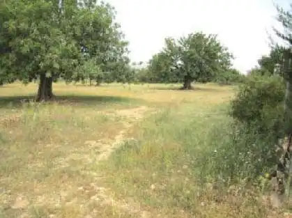 Terreno residenziale in vendita a Urbanización los Visos, imagen 3