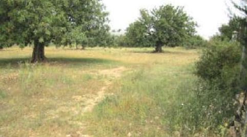 TERRENO URBANO, CHESTE., immagine 3