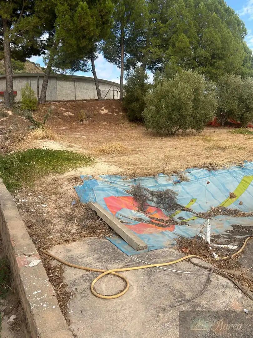 Xalet amb piscina en venda a Rute, imagen 3