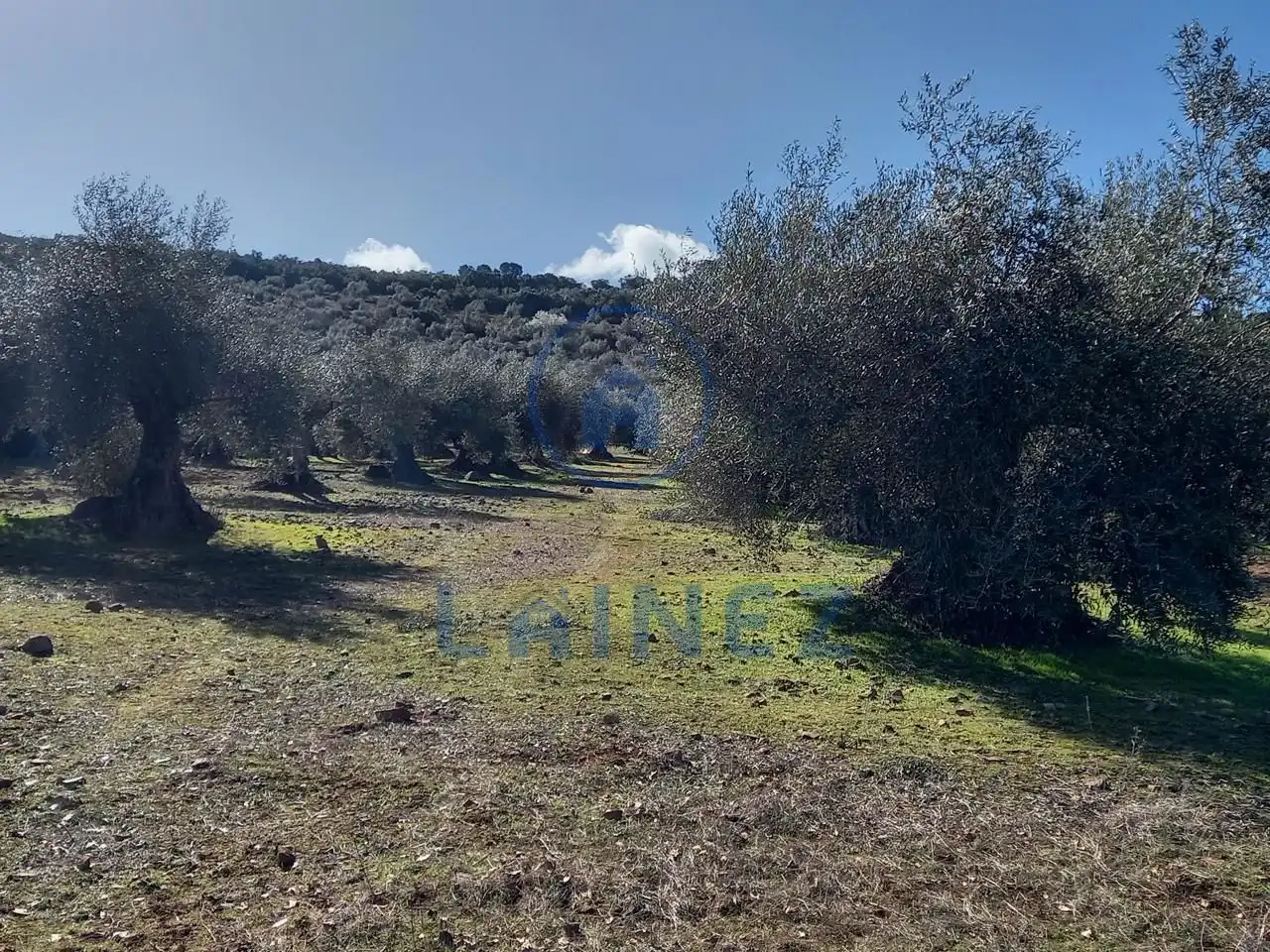 Terreno residenziale in vendita a Villanueva del Rey, imagen 70