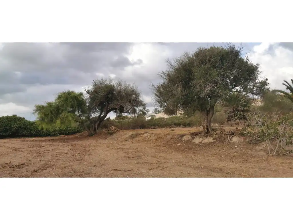 Terreno residencial en venta en La Marina, imagen 5