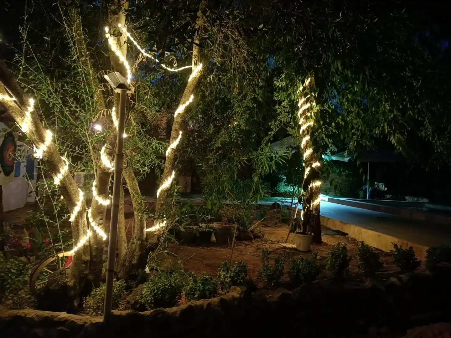 Jardí de Casa o xalet en venda en Piedrabuena amb Aire condicionat, Calefacció i Jardí privat