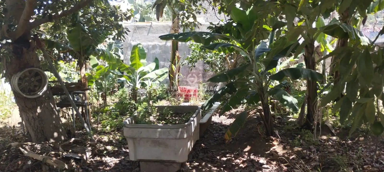 Jardí de Casa o xalet en venda en La Orotava amb Terrassa i Traster