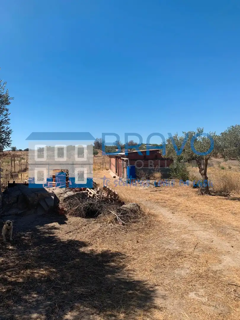 Chalet en venta en La Haba, imagen 36