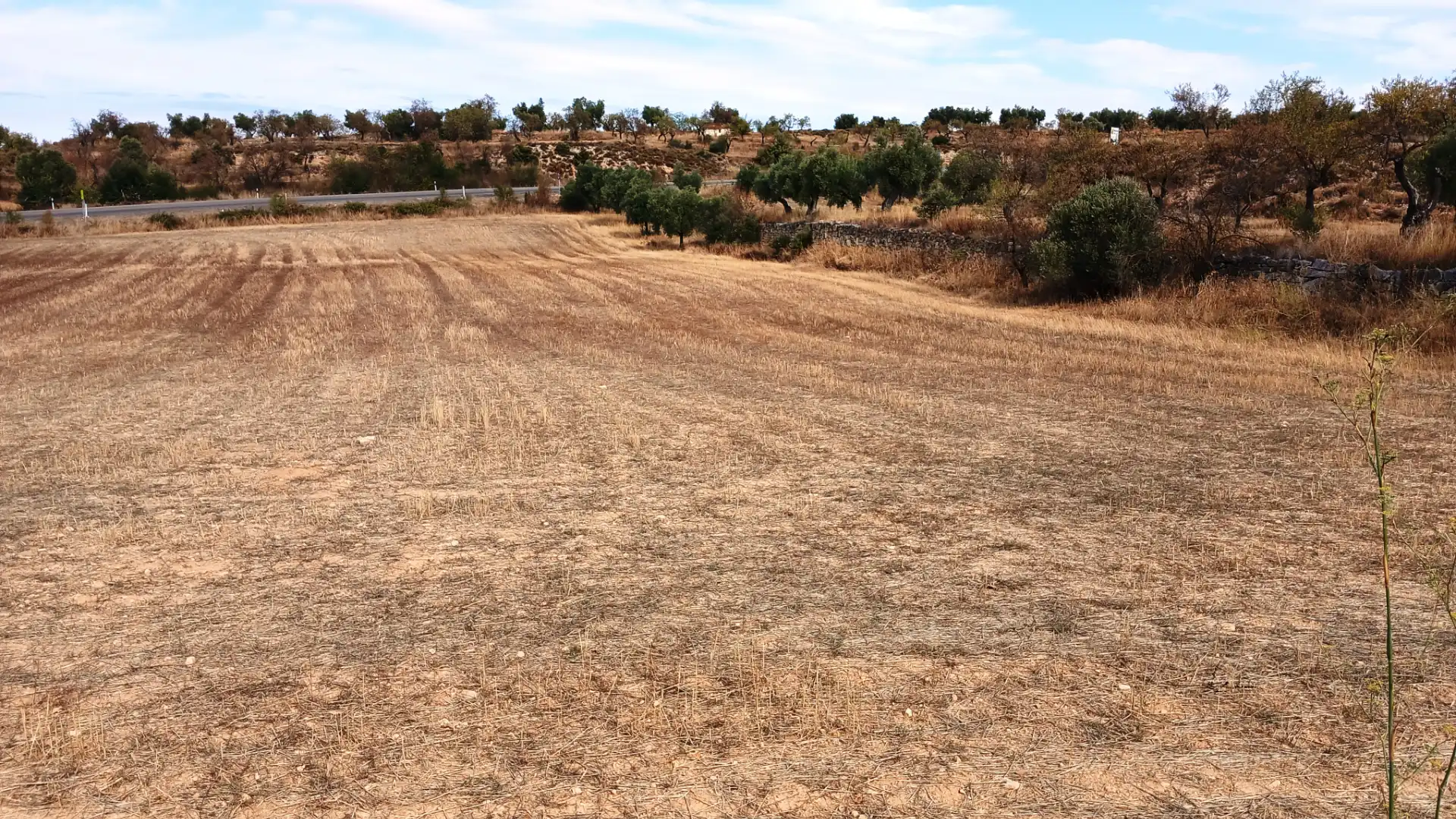 Rustikales Grundstück zum Verkauf in Carretera Tortosa 3, imagen 10