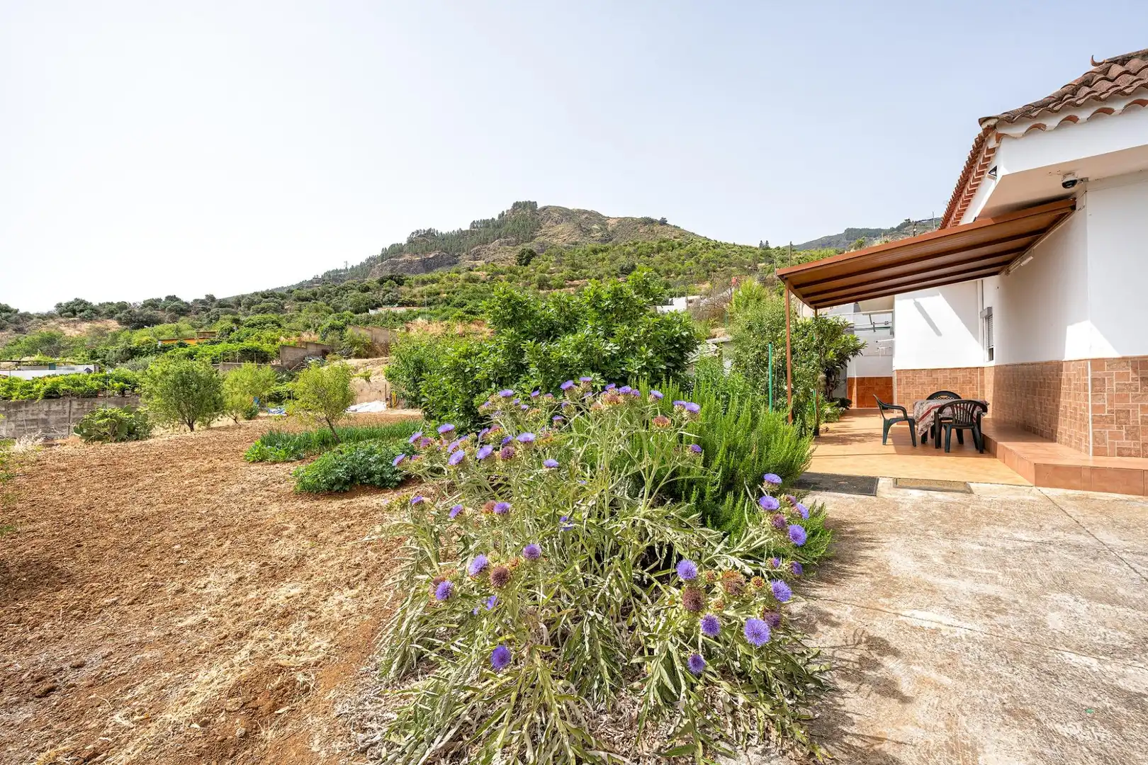 Jardín de Casa o chalet en venta en Valsequillo de Gran Canaria con Jardín privado y Terraza