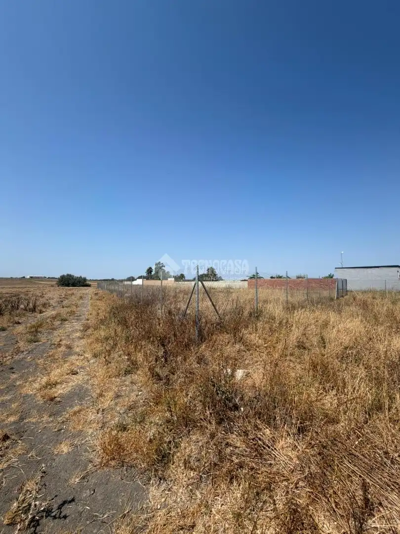 Rural land for sale in CAMINO MUNIVE, imagen 8