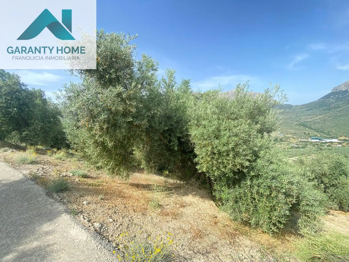 Terreno en venta en Valdepeñas de Jaén