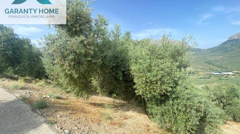 Photo 5 of Land for sale in Valdepeñas de Jaén, Jaén