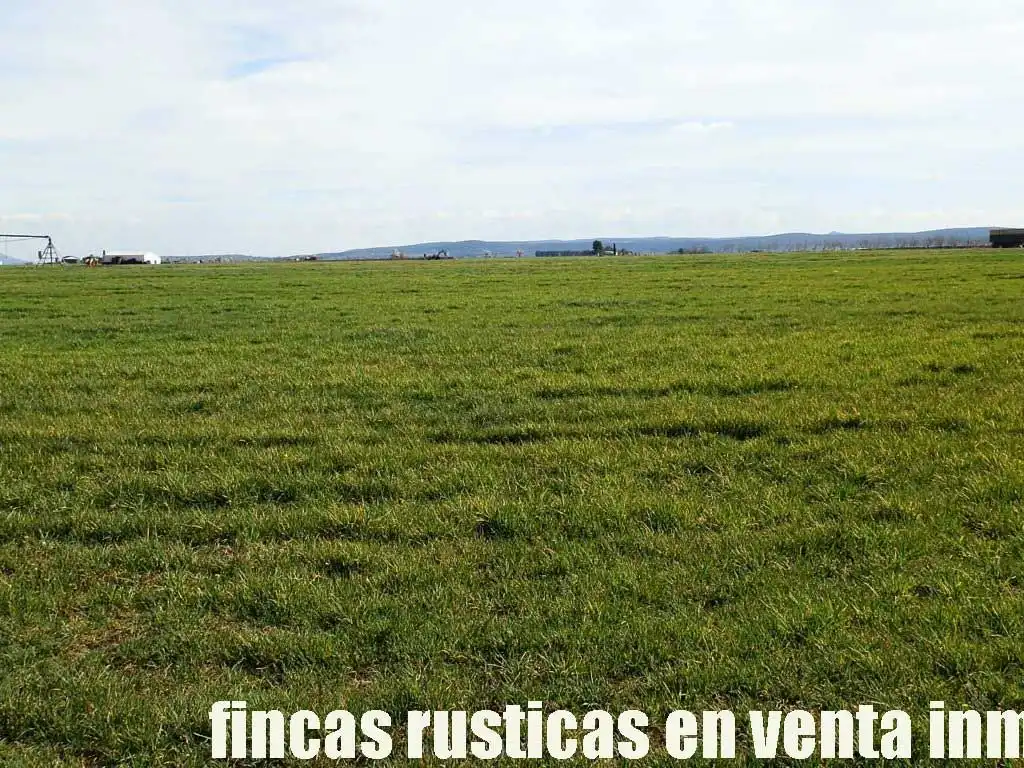 Terreny rústic en venda a Manzanares, imagen 13