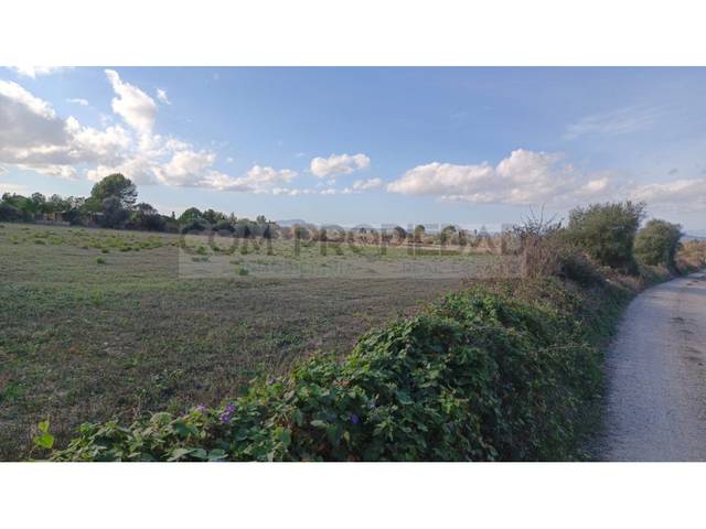 Terreno en Venta en Manacor Centre