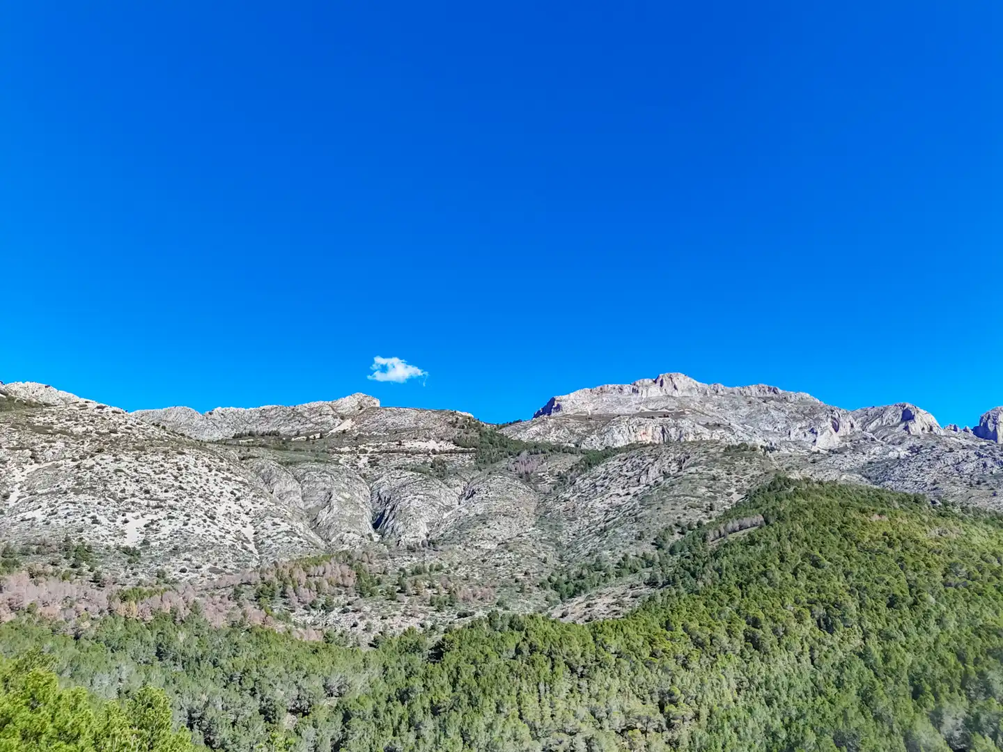 Terreny residencial en venda a Altea la Vella, imagen 49
