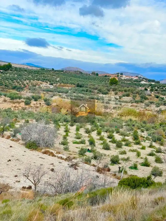 Casa rústica en venta en Vélez-Rubio, imagen 5