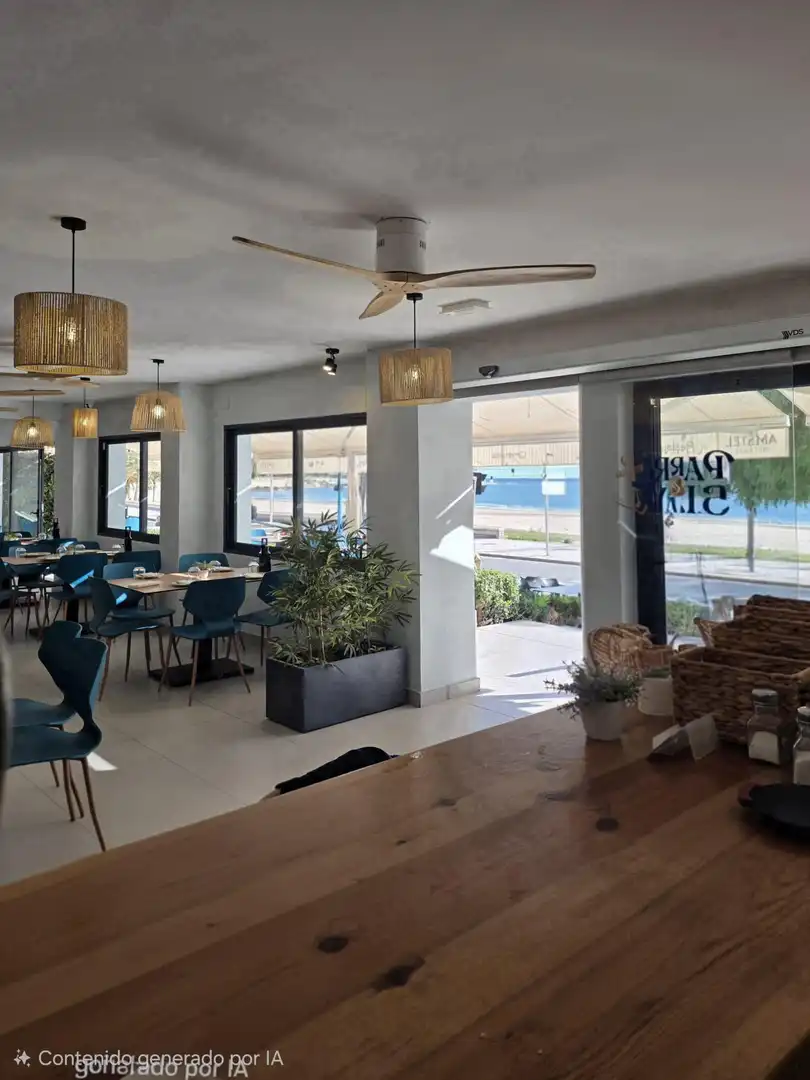 Commercial properties for sale in Playa Muchavista