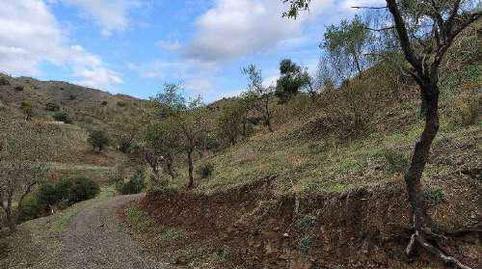 Photo 5 of Residential for sale in La Campana, -1, Cártama, Málaga