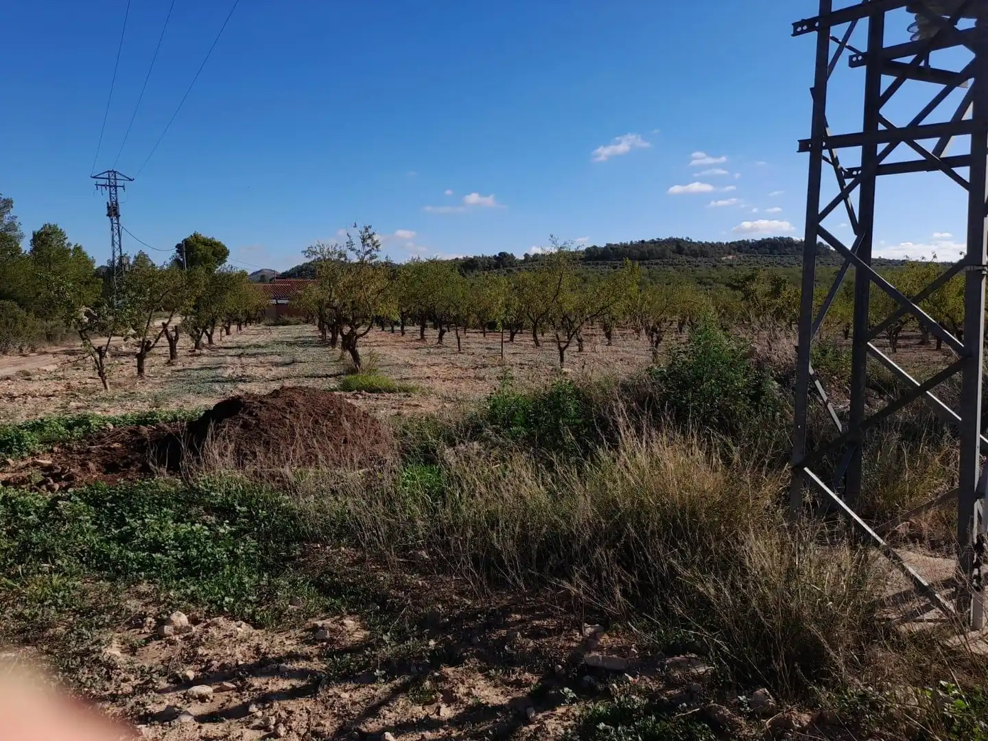 Casa o xalet en venda en Flix amb Jardí privat, Terrassa i Traster