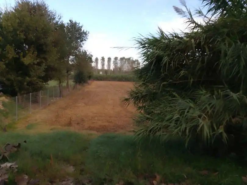 Terreni e lotti in affitto a Segadors 4, imagen 6