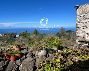 Jardí de Casa o xalet en venda en Icod de los Vinos