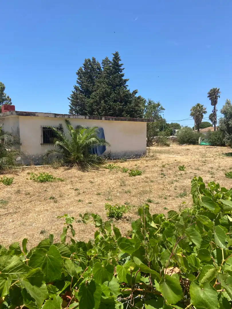 Casa o xalet en venda en Chiclana de la Frontera