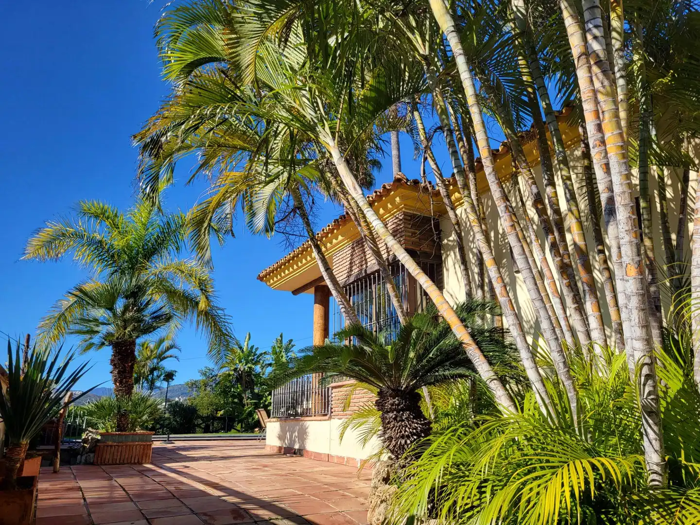 Vista exterior de Finca rústica en venda en Marbella amb Aire condicionat, Calefacció i Jardí privat