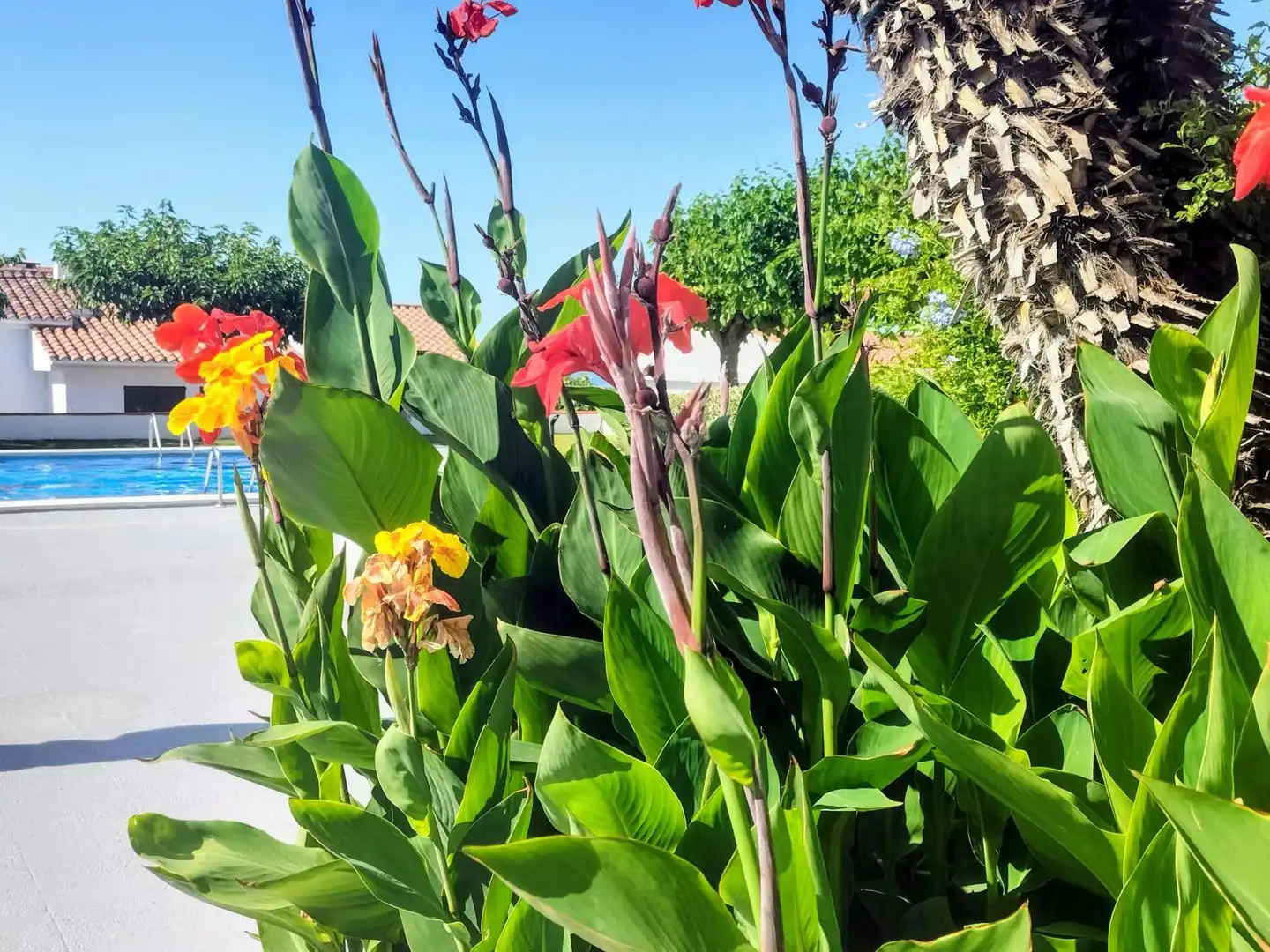 Garten von Wohnung zum Verkauf in Sitges mit Privatgarten und Gemeinschaftspool
