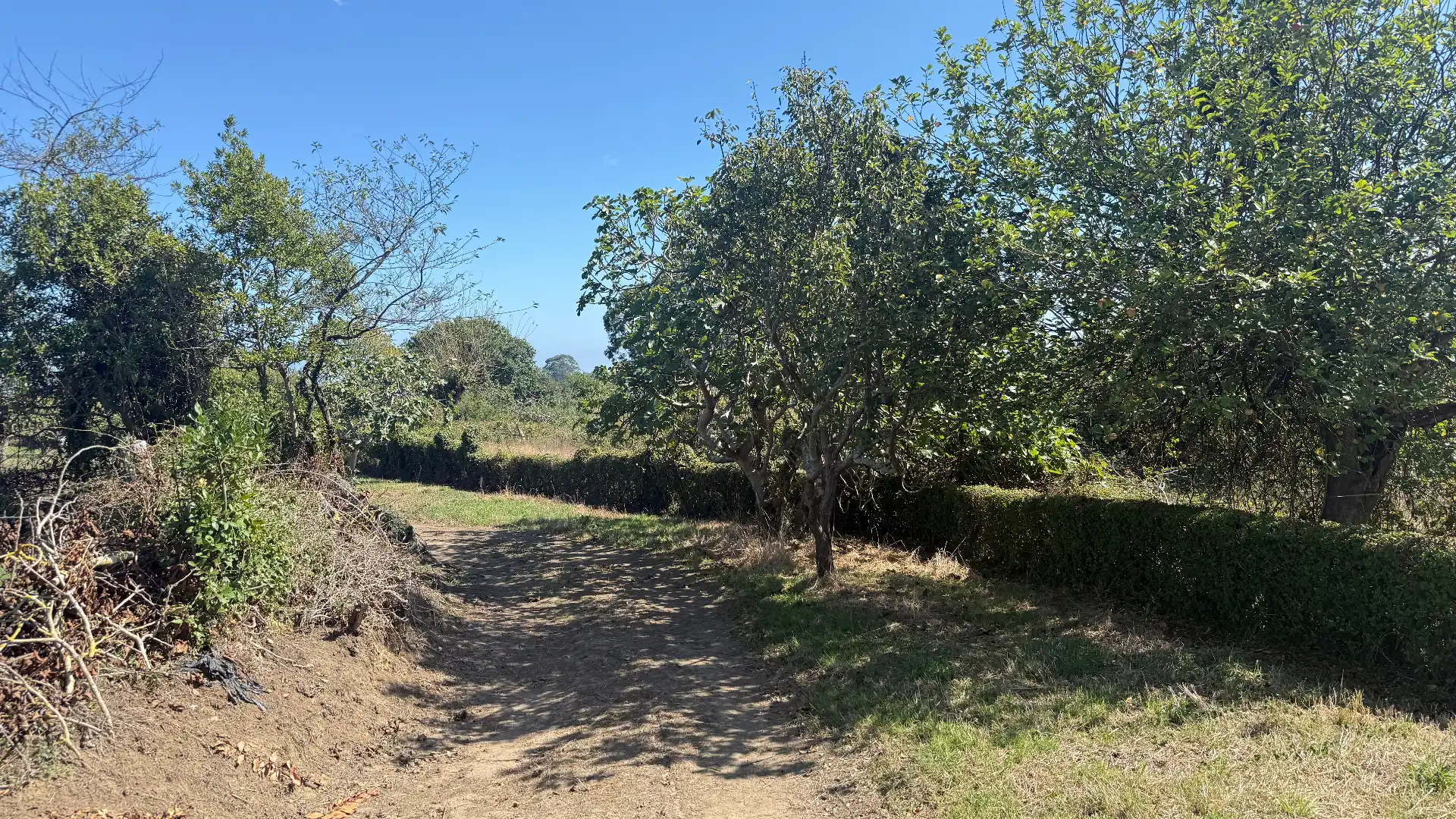 Terreno residencial en venta en Somió - Cabueñes, imagen 35
