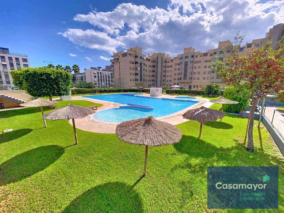 Swimming pool of Flat to rent in Alicante / Alacant  with Air Conditioner, Heating and Private garden