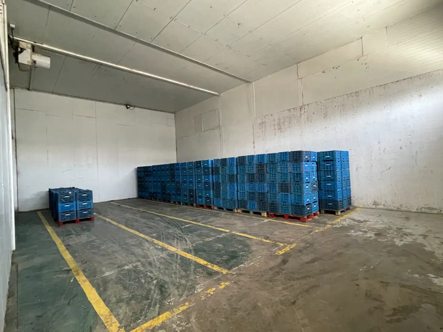 Nau industrial en venda a Carrer d'Algímia d'Alfara, 2, Na Rovella - Hermanos Maristas