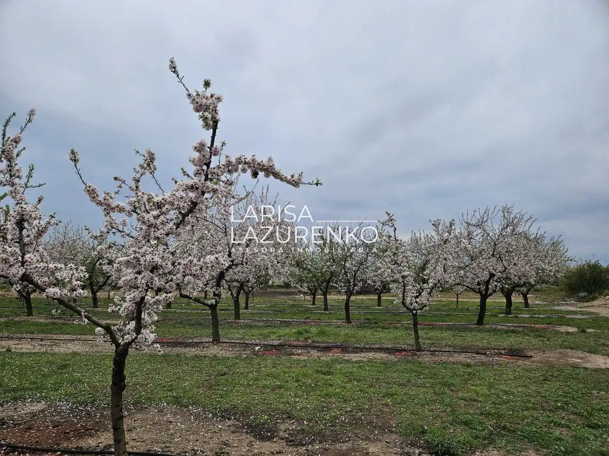 Finca rústica en venda en Riudoms