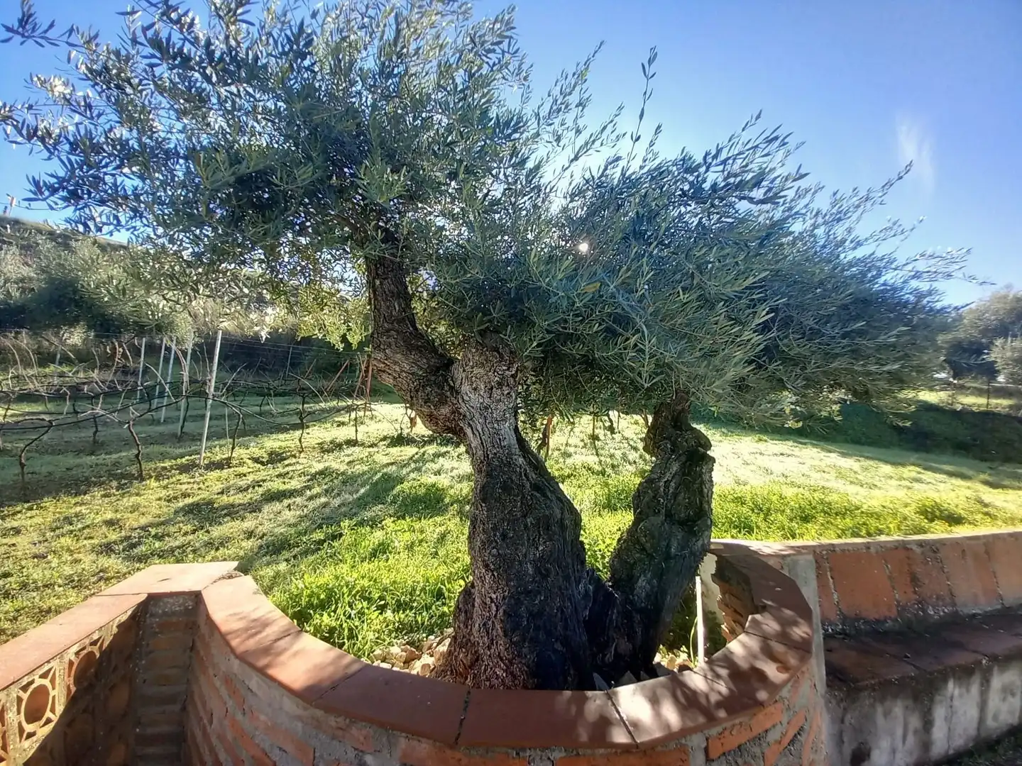 Finca rústica en venda a Partidas Norte
