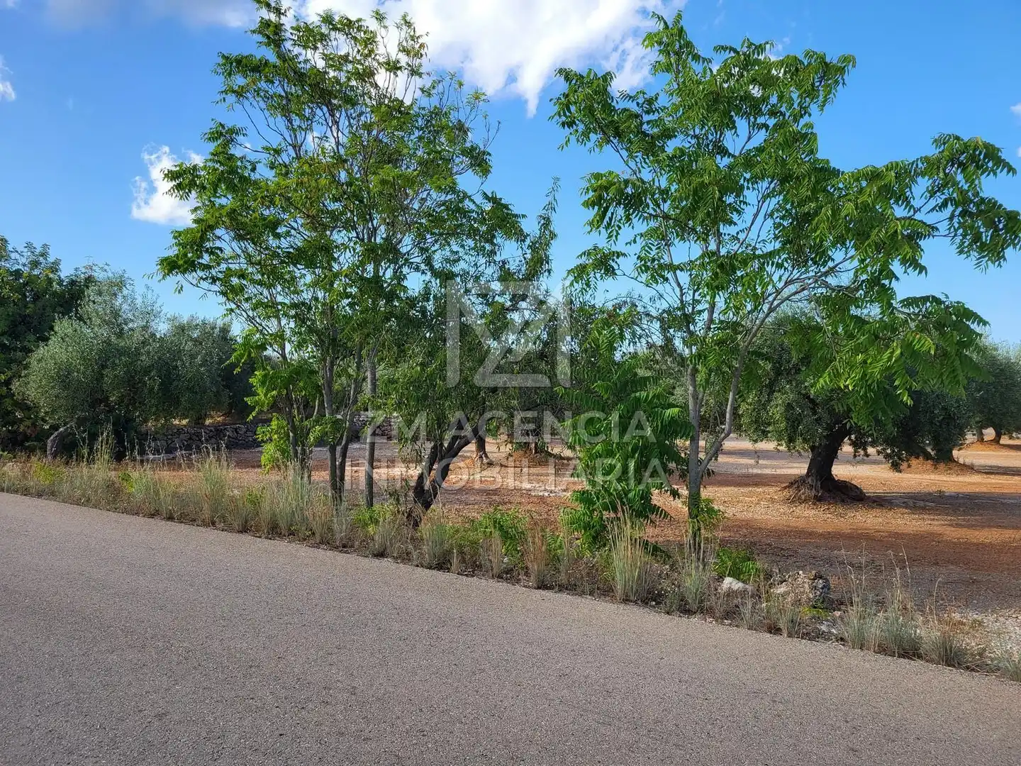 Country house for sale in Rossell, imagen 3