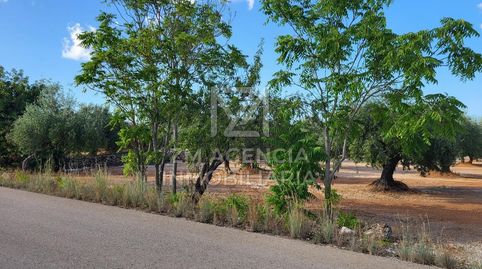 FINCA RUSTICA EN VENTA EN TERMINO MUNICIPAL DE ROSSELL, imatge 3