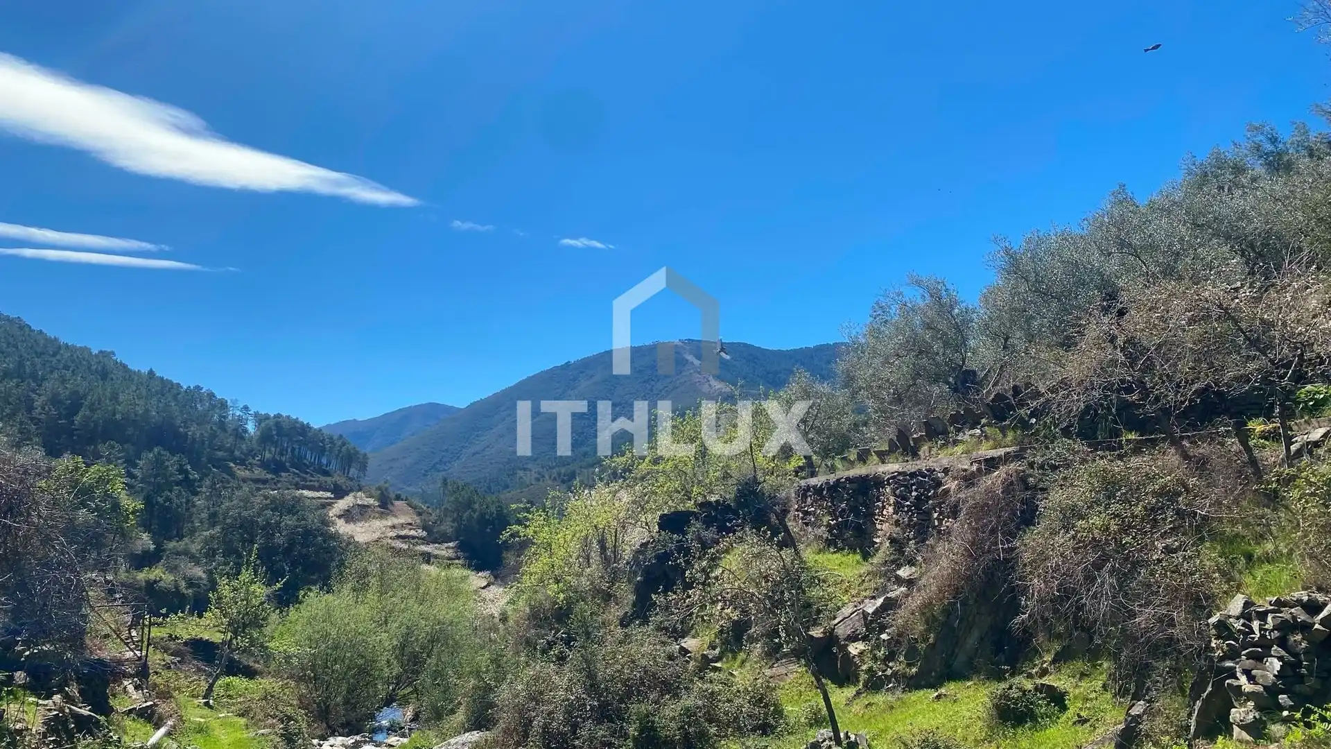 Casa adosada en venta en Pinofranqueado