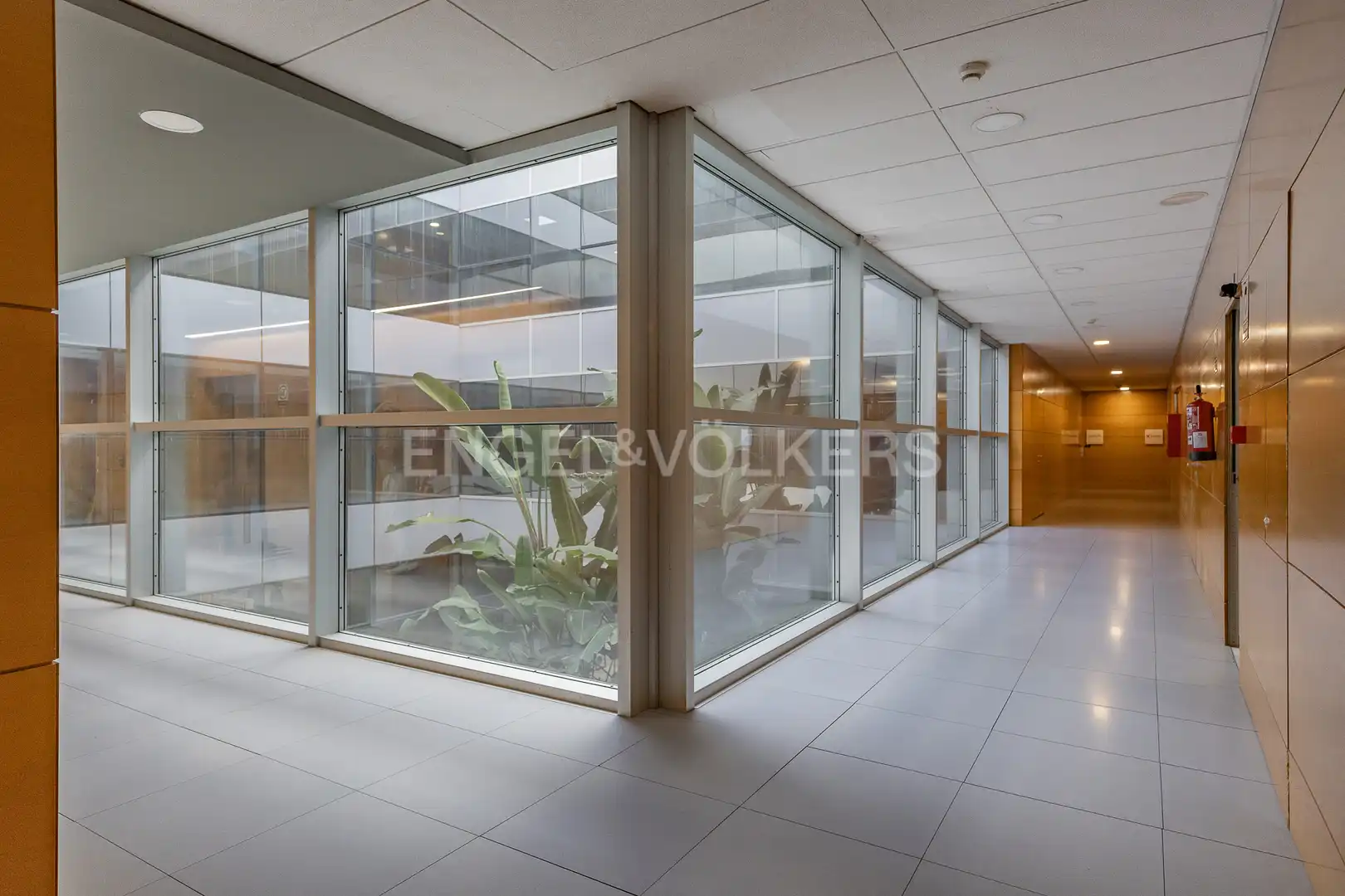 Oficina de alquiler en Sant Cugat del Vallès