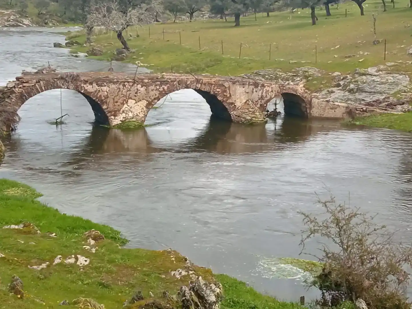 Vista exterior de Finca rústica en venta en Aldeacentenera con Jardín privado