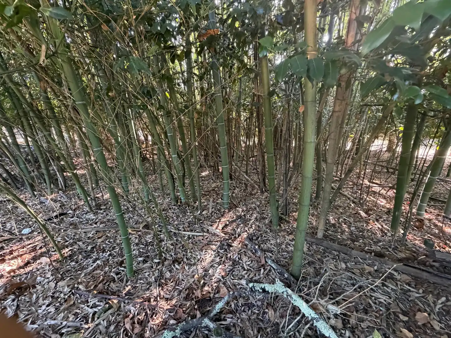 Casa rústica con jardín en venta en PO-254, imagen 15