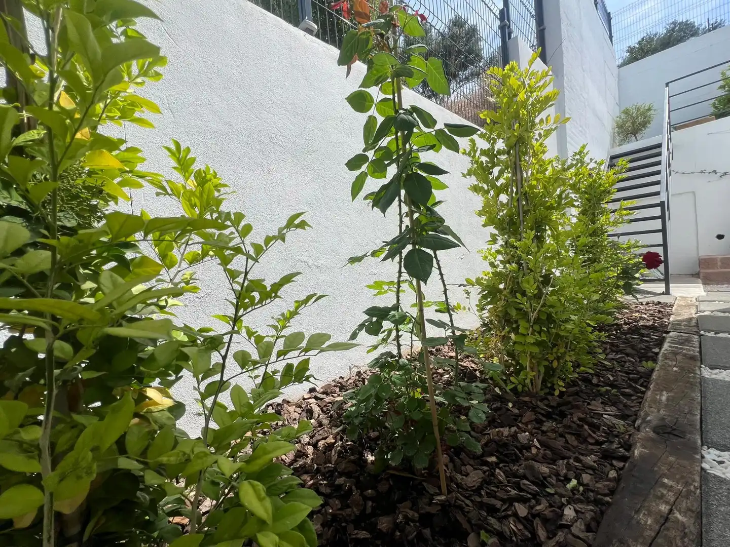 Villa avec piscine à vendre à Calle Apero, imagen 29