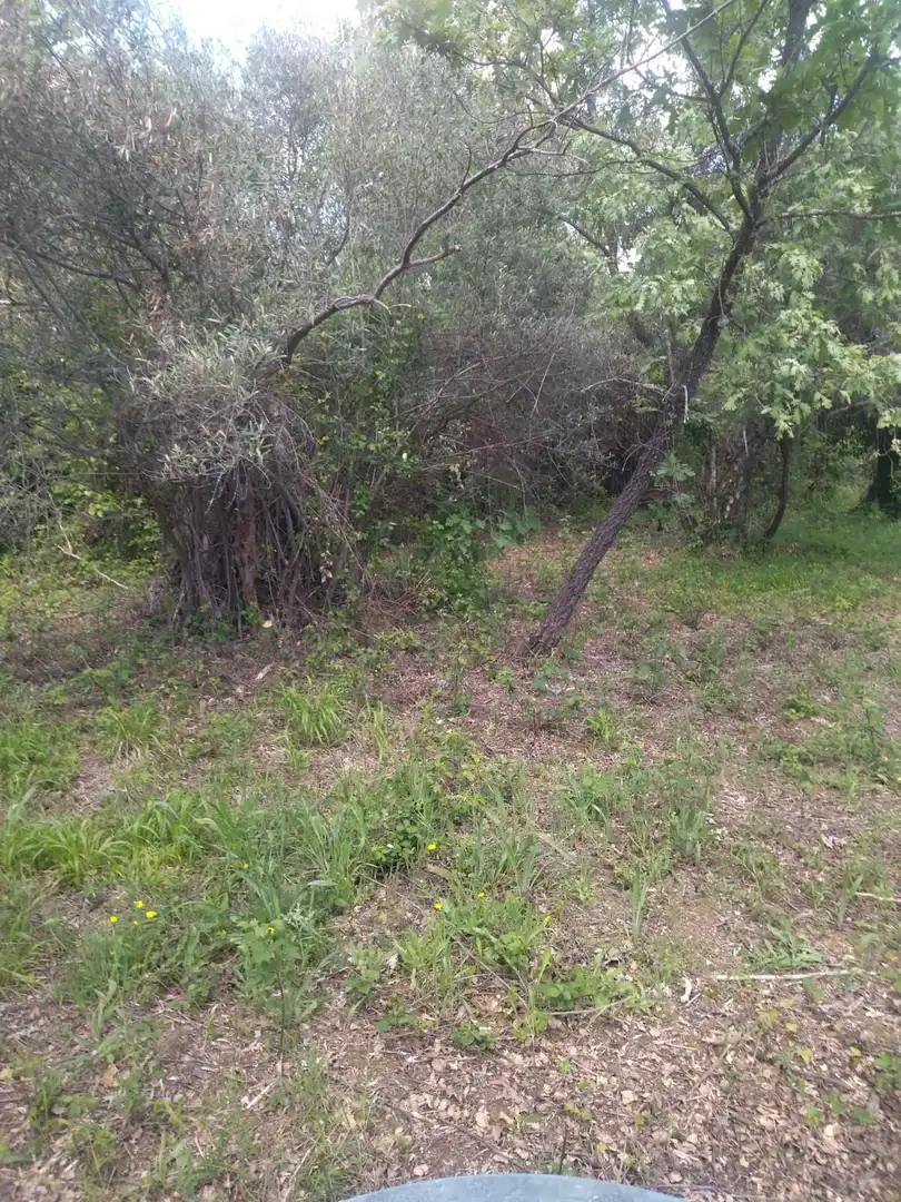 Terreni e lotti in vendita a Villanueva de la Vera, imagen 29