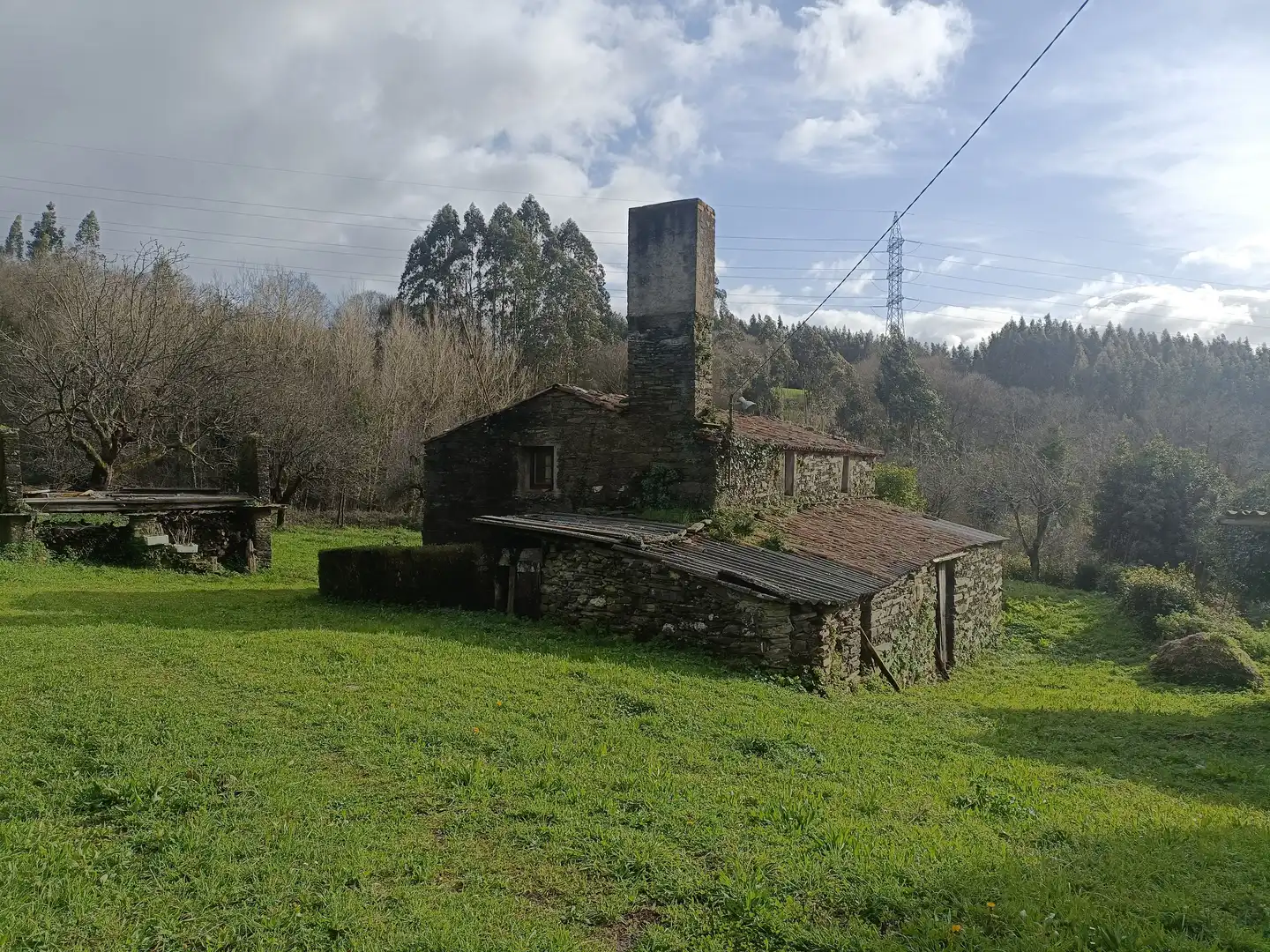 Vista exterior de Casa o xalet en venda en Cesuras amb Jardí privat