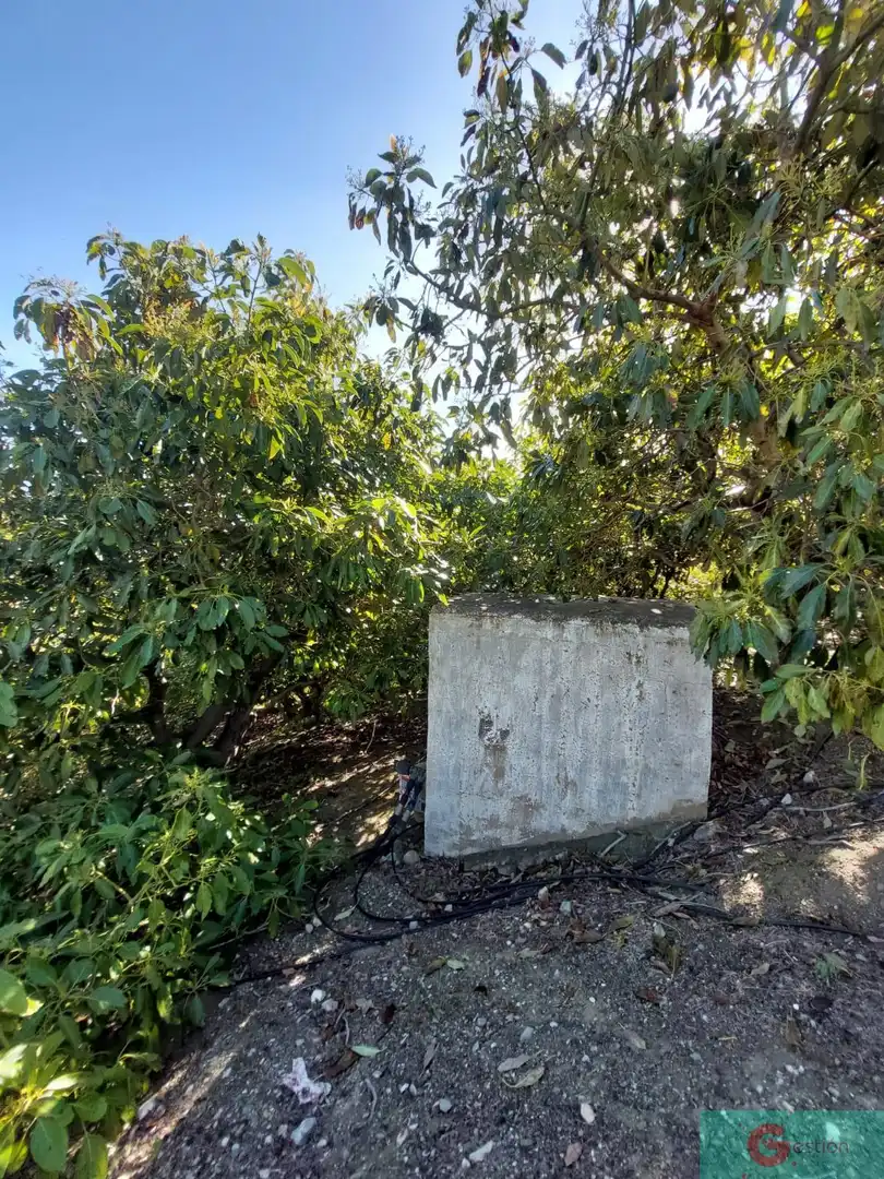 Casa rústica en venta en Molvízar, imagen 8