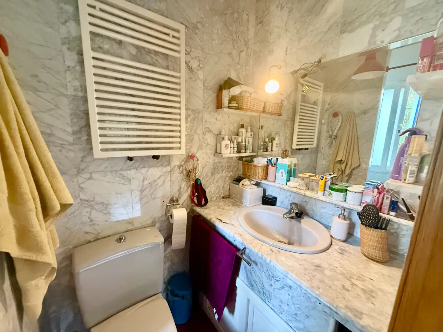 Baño de Casa o chalet en venta en Poblete con Aire acondicionado, Jardín privado y Piscina