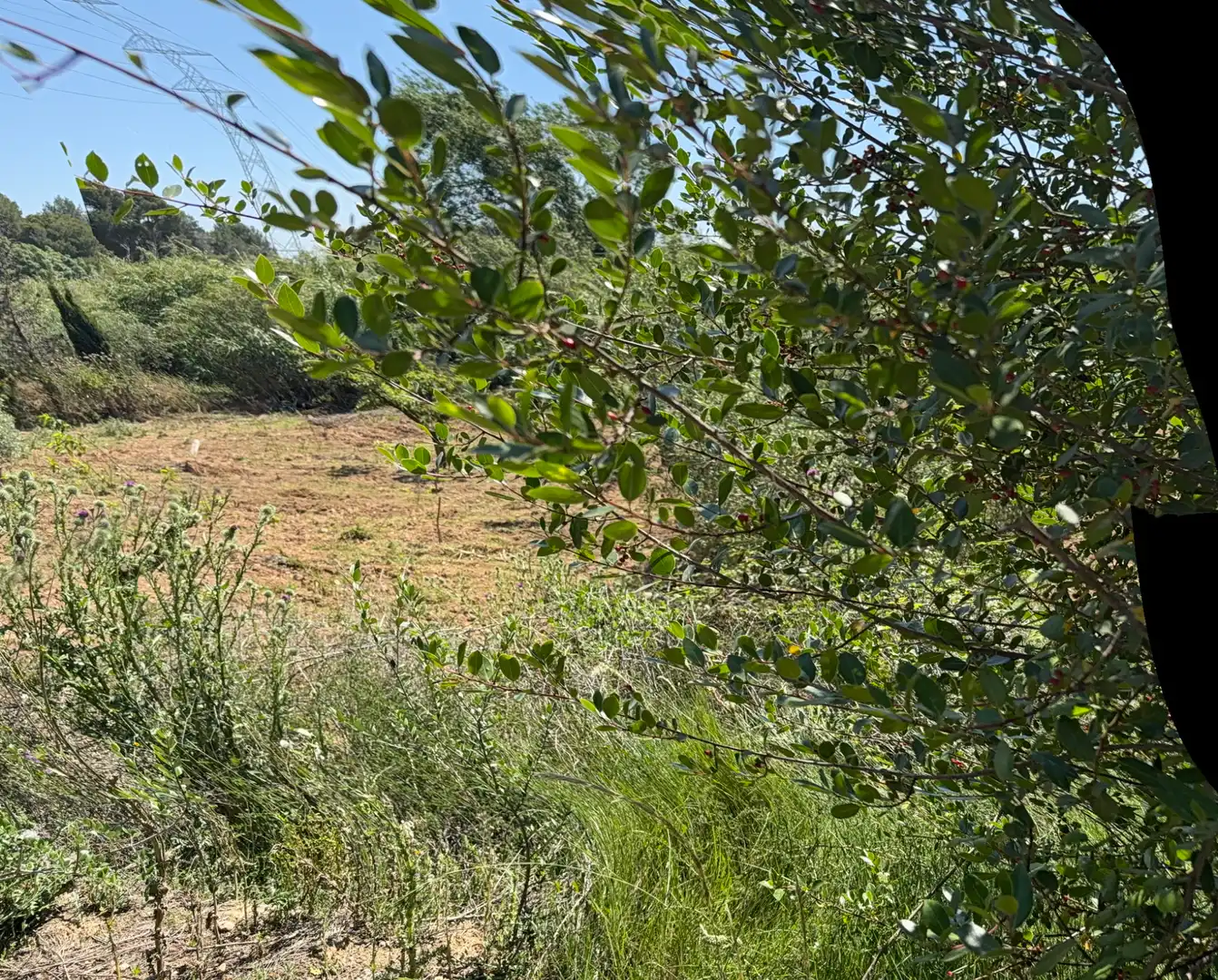Rustikales Grundstück zum Verkauf in Camí del Cementiri 97, imagen 17