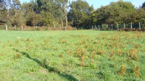 FINCA EN BASTAVALES, immagine 5