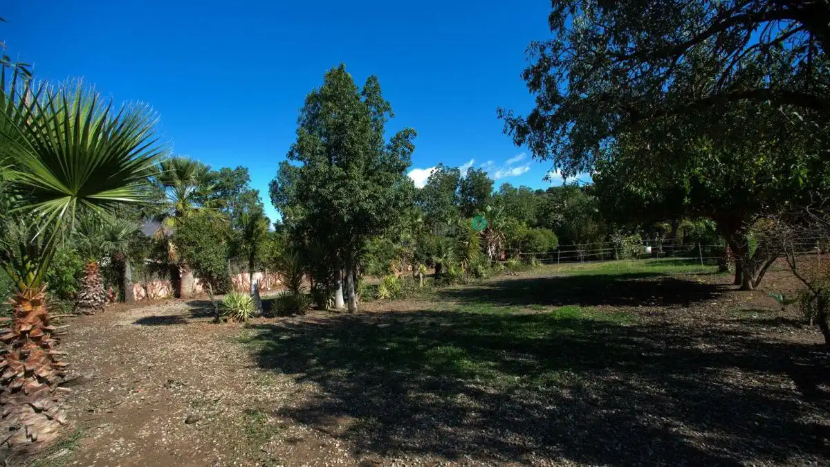 Casa rústica con jardín en venta en Costa Natura, imagen 9