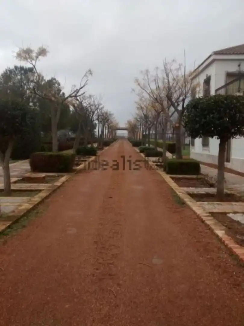 Villa mit Pool zum Verkauf in Calle cerca de Ciudad Real 0, imagen 33