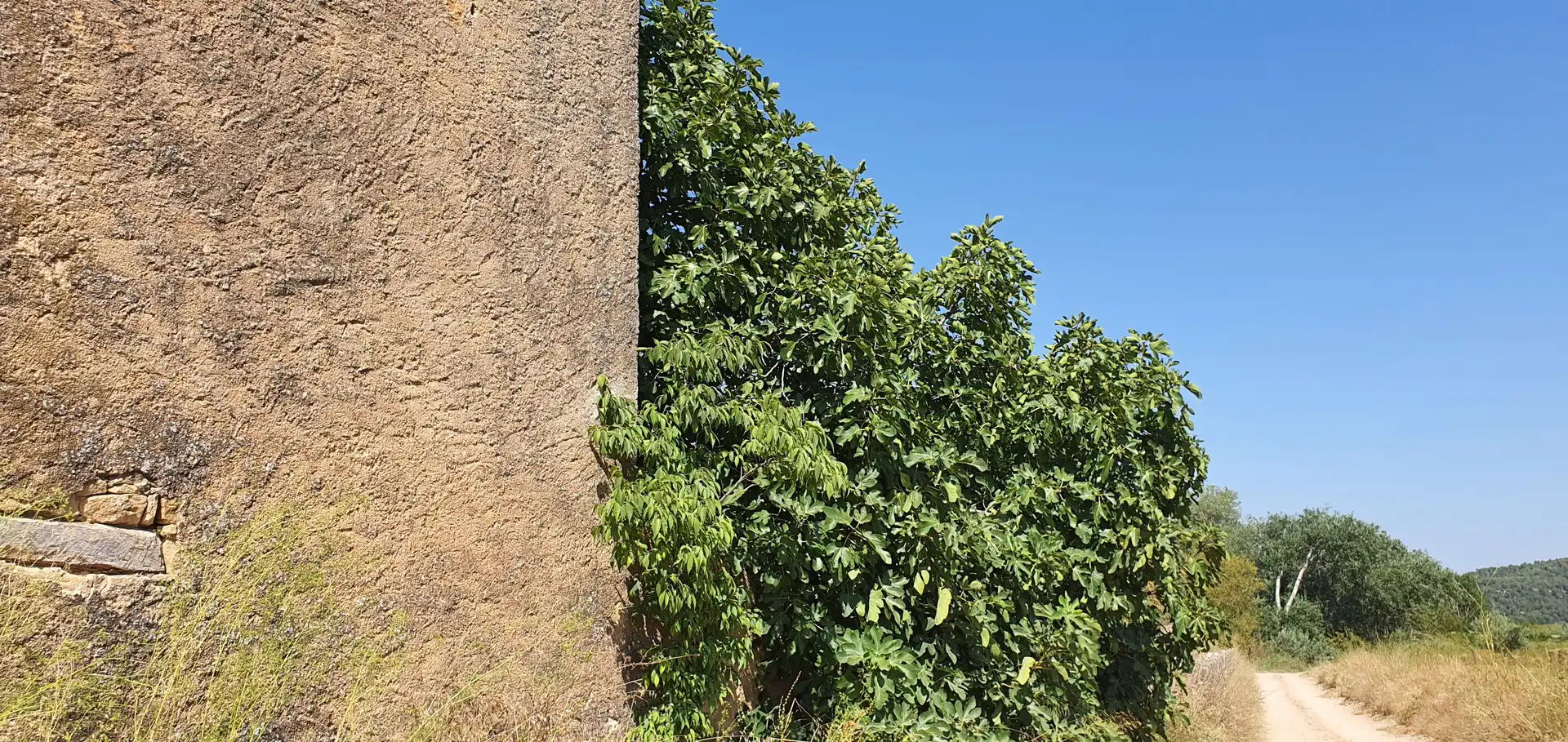 Casa o xalet en venda en Horta de Sant Joan